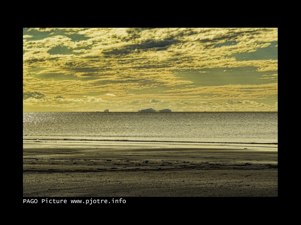 PAGOPIC20141116091015417a.JPG