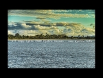 PAGOPIC20141116108015446a2.JPG